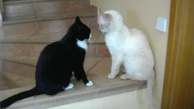 Muci Timi in Ma&scaron;a / Foto: Karl Drago Walch