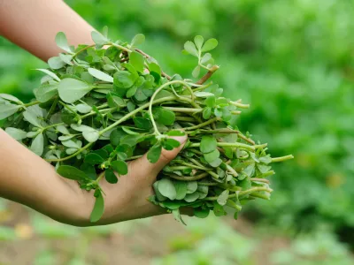Slika je simbolična. / Foto: Istock