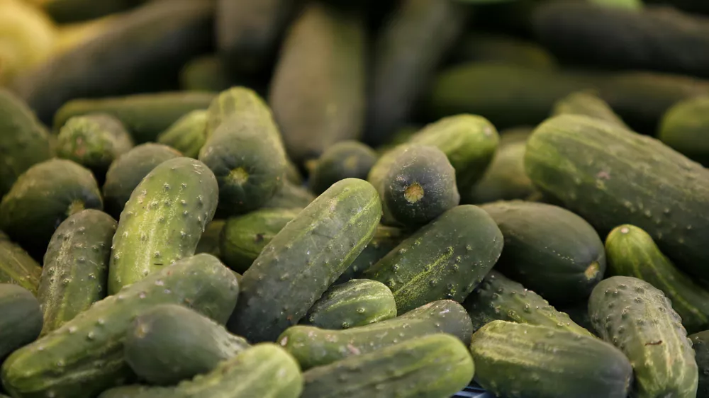 Ljubljanska tržnica - kumare - slovensko poreklo /FOTO: Bojan Velikonja