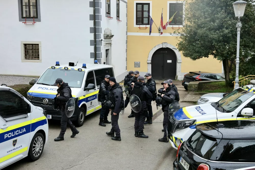 Novo mesto varnost žalovanje