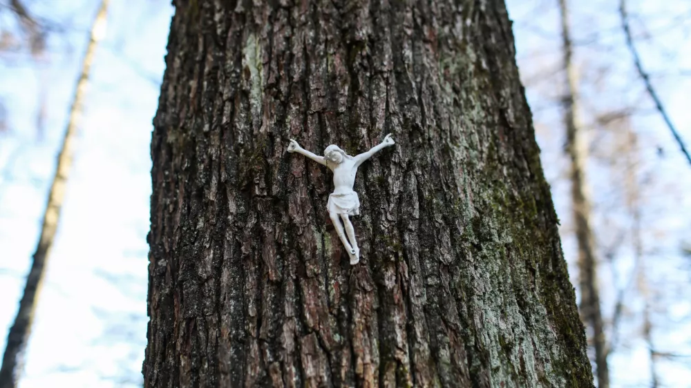 - 20.02.2024. - Simbolična fotografija, Jezus na drevesu, vera, kr&scaron;čanstvo, religija, Katoli&scaron;ka cerkev, religija.//FOTO: Bojan Velikonja / Foto: Bojan Velikonja