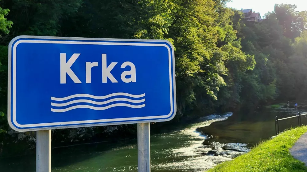 dvor krka 