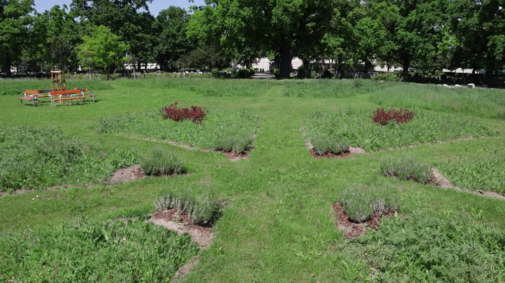 Foto: Friedh&ouml;fe Wien