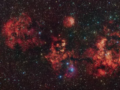 Ali vidite netopirja? Če ne, povečajte sliko in dobro poglejte. / Foto: Profimedia