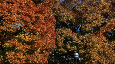 - 24.10.2025 - reportaža jesen, Ljubljana//FOTO: Jaka Gasar