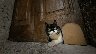 ISTANBUL, TURKIYE - OCTOBER 23: A cat rests by the restored &acirc;&euro;&oelig;cat door&acirc;&euro; in the Harem section of Topkapi Palace, a centuries-old passage originally built for palace cats during the Ottoman era, in Istanbul, Turkiye, on October 23, 2025. Sebnem Coskun / Anadolu,Image: 1048516693, License: Rights-managed, Restrictions:, Model Release: no / Foto: Profimedia