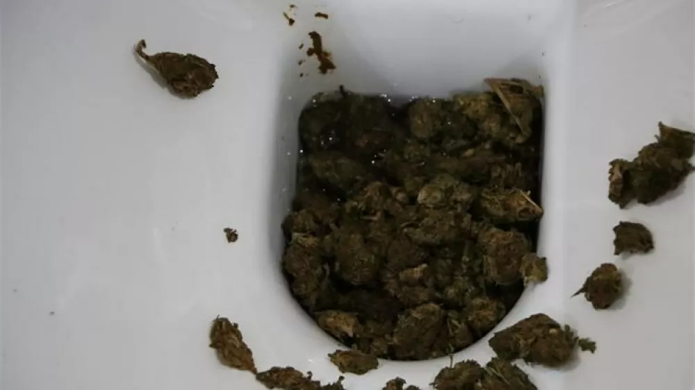 Ženska se je sku&scaron;ala drog znebiti tako, da jih je vrgla v strani&scaron;čno &scaron;koljko. 