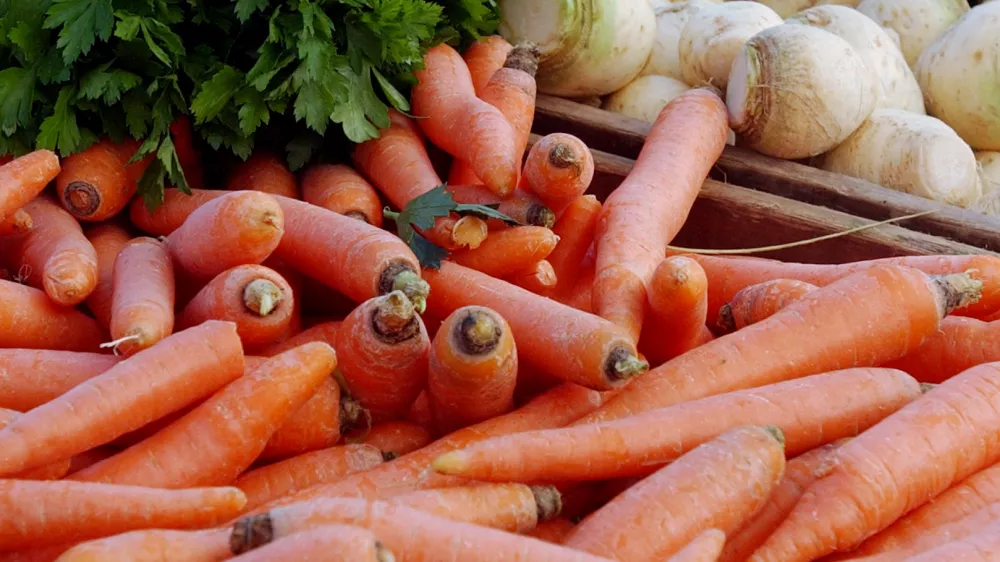 Ljubljanska tržnica - zelenjava, korenje