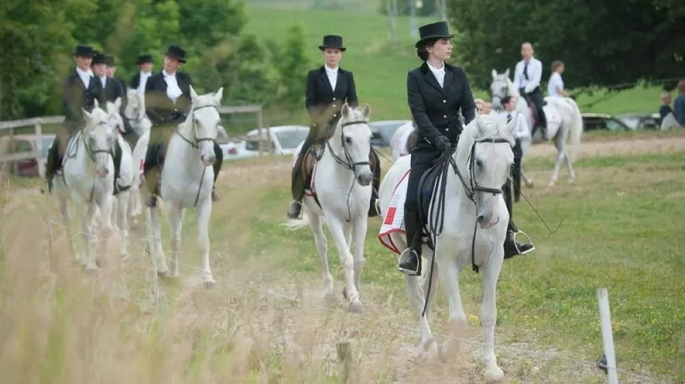 Krumperk ostaja dom konj &ndash; za zdaj