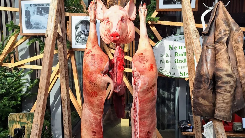 Izmera pra&scaron;iča v novi preobleki: Koline kot kulinarični spektakel