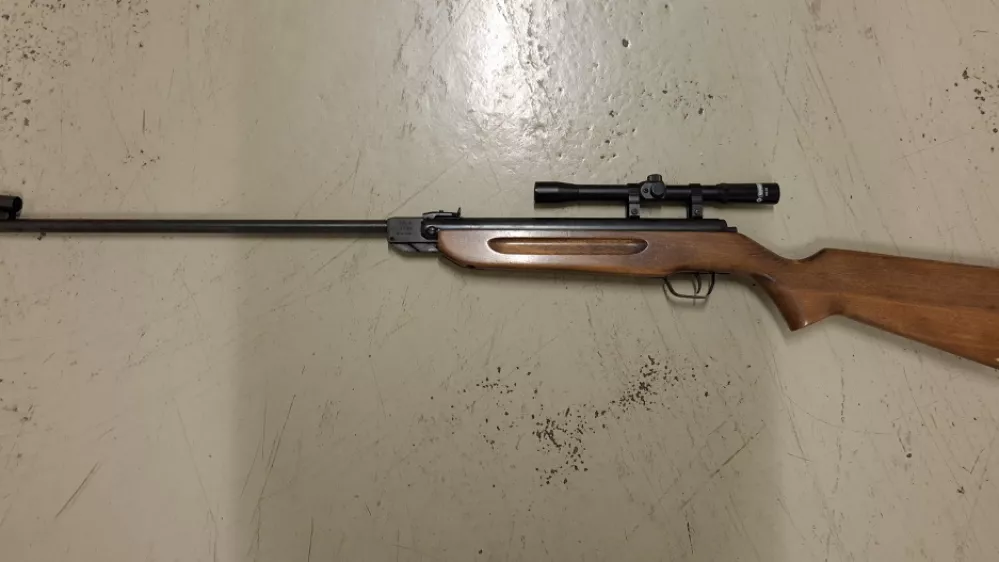 pu&scaron;ka zračna