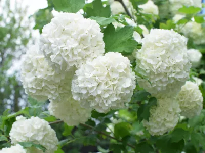 Slika je simbolična. / Foto: Istock