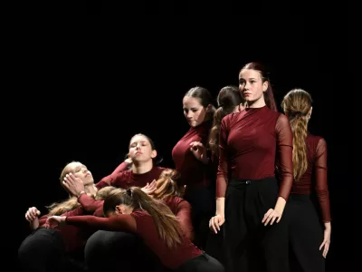 Festival plesnih radovednežev