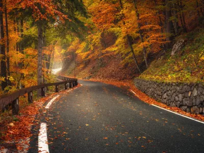 Danes bo toplej&scaron;i jesenski dan, z nekaj dežja, ponekod celo s soncem. Ceste naj ne bi bile pretirano obremenjene.