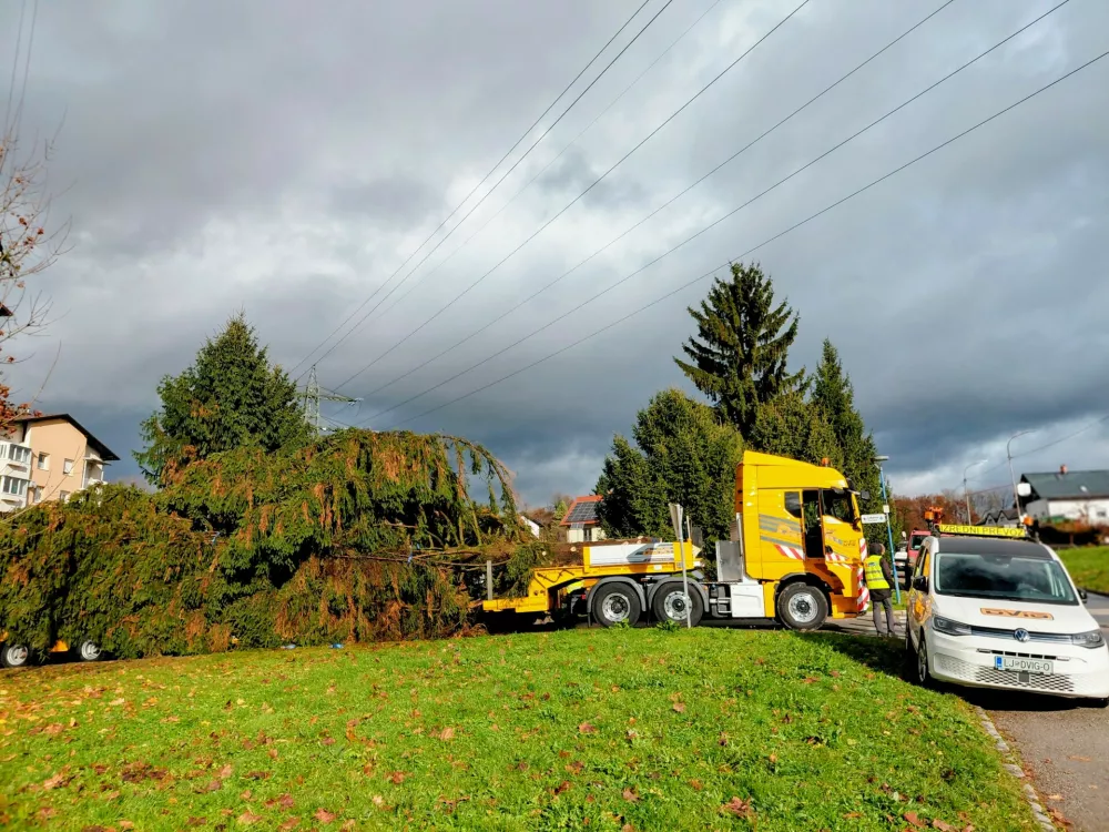 Smreka, Medvode. Foto: Tina Jereb