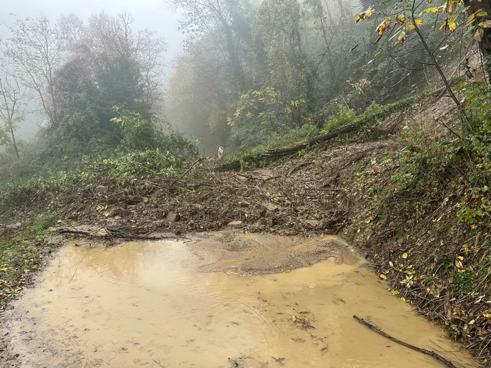 Foto: CZ občine Brda&nbsp;