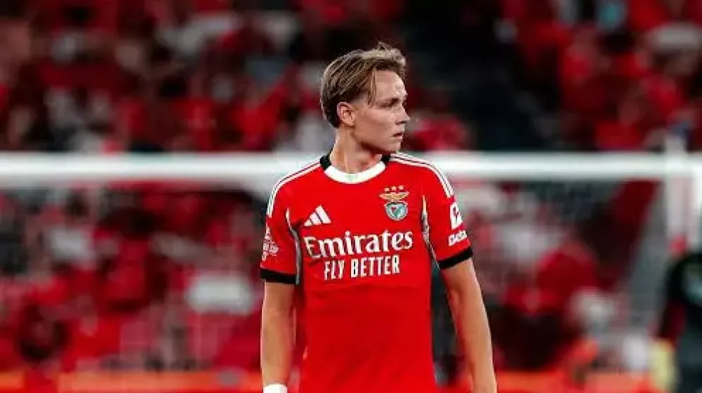 Andreas Schjelderup, nogomet, Norve&scaron;ka