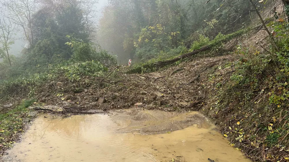 Foto: CZ občine Brda&nbsp;