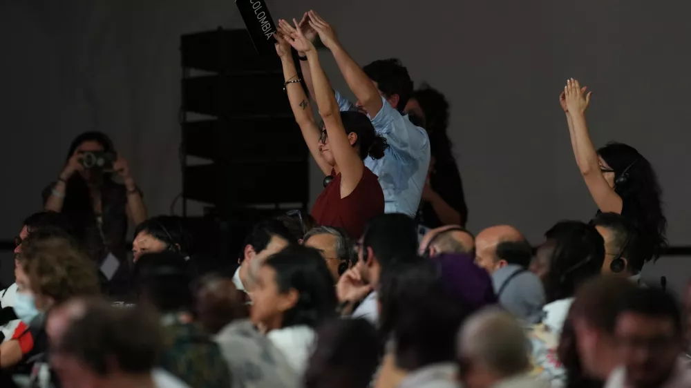 Delegates from Colombia react during a plenary session at the COP30 U.N. Climate Summit, Saturday, Nov. 22, 2025, in Belem, Brazil. (AP Photo/Andre Penner)