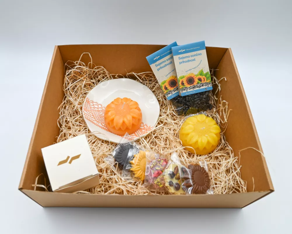 Foto: Slovenske železnice