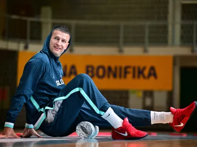Alen Omić, Slovenija