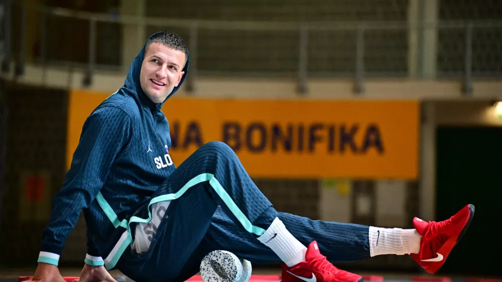 Alen Omić, Slovenija