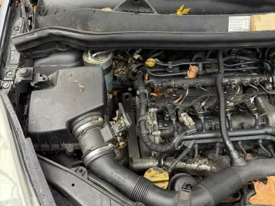 Ali na sliki najdete mačko? / Foto: Feuerwehr Augsburg