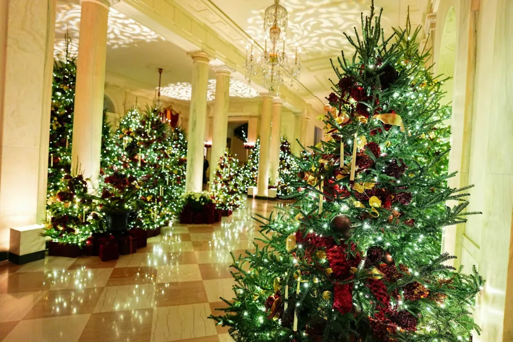 Christmas trees in the Grand Foyer of the White House during a media preview of the 2025 holiday decorations at the White House in Washington, U.S., December 1, 2025. REUTERS/Aaron Schwartz