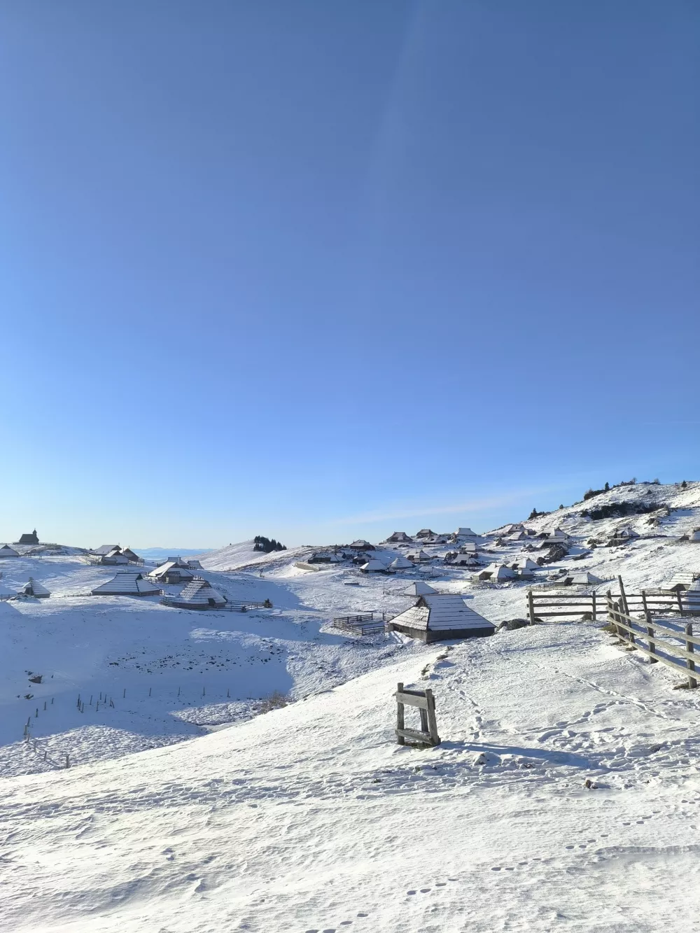 Planina je te dni že pobeljena s snegom. Foto: Velika planina