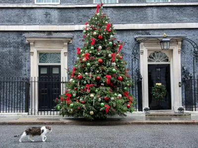 arry the cat walks past a decorated Christmas tree outside 10 Downing Street, in London, Britain. REUTERS/Corey Rudy Purchase Licensing Rights