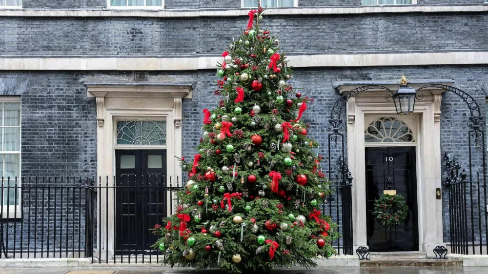 arry the cat walks past a decorated Christmas tree outside 10 Downing Street, in London, Britain. REUTERS/Corey Rudy Purchase Licensing Rights