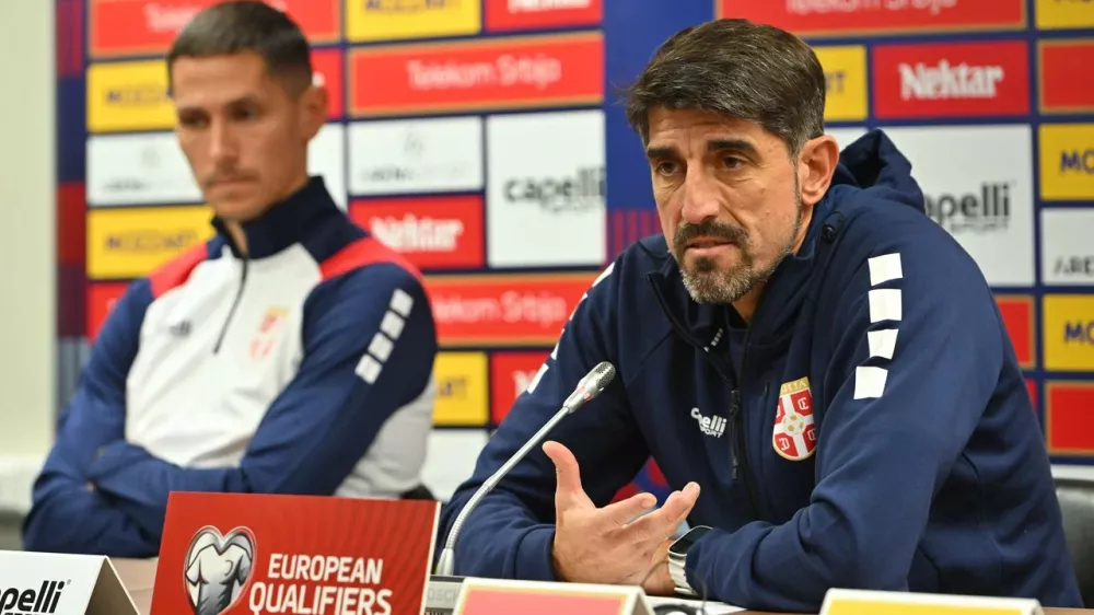 Veljko Paunović, Srbija