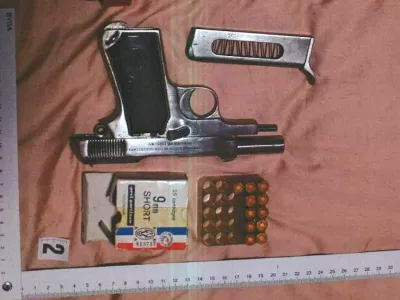 zaseg pi&scaron;tole