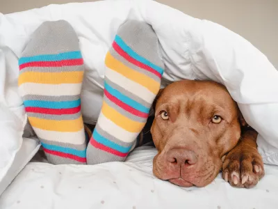 Se tudi vi pozimi spopadate z mrzlimi nogami? Foto: iStock