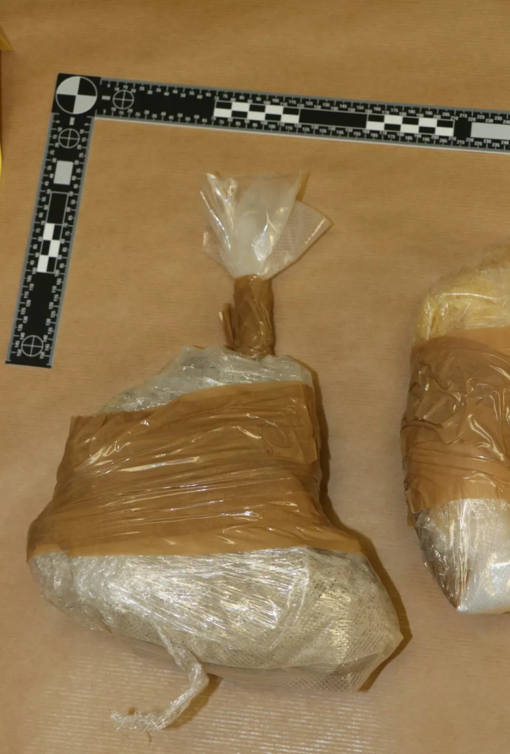 Zaseg, mamila. Foto: PU Nova Gorica