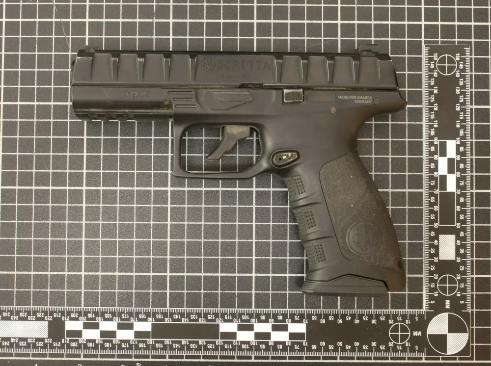 Pi&scaron;tola, zaseg. Foto: PU Nova Gorica