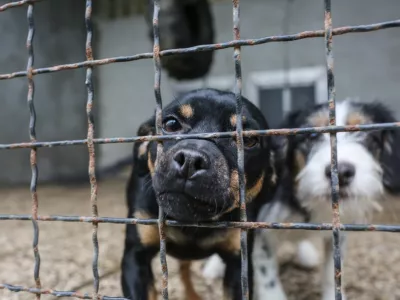 Lastniki zaveti&scaron;č napovedujejo zlom sistema