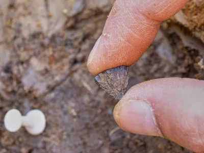 Discovery of the first fragment of iron pyrite in 2017, at Barnham, Suffof, England. (Jordan Mansfield/Pathways to Ancient Britain Project via AP)
