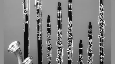 Družina sodobnih klarinetov / Foto: Wikipedija