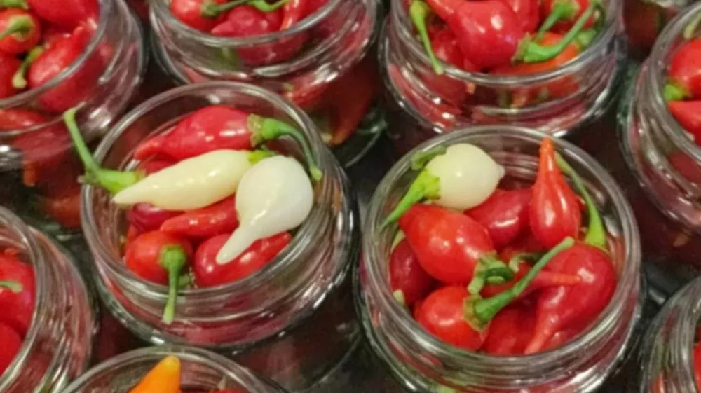 vloženi čiliji kmetija Legnar / Foto: Osebni Arhiv