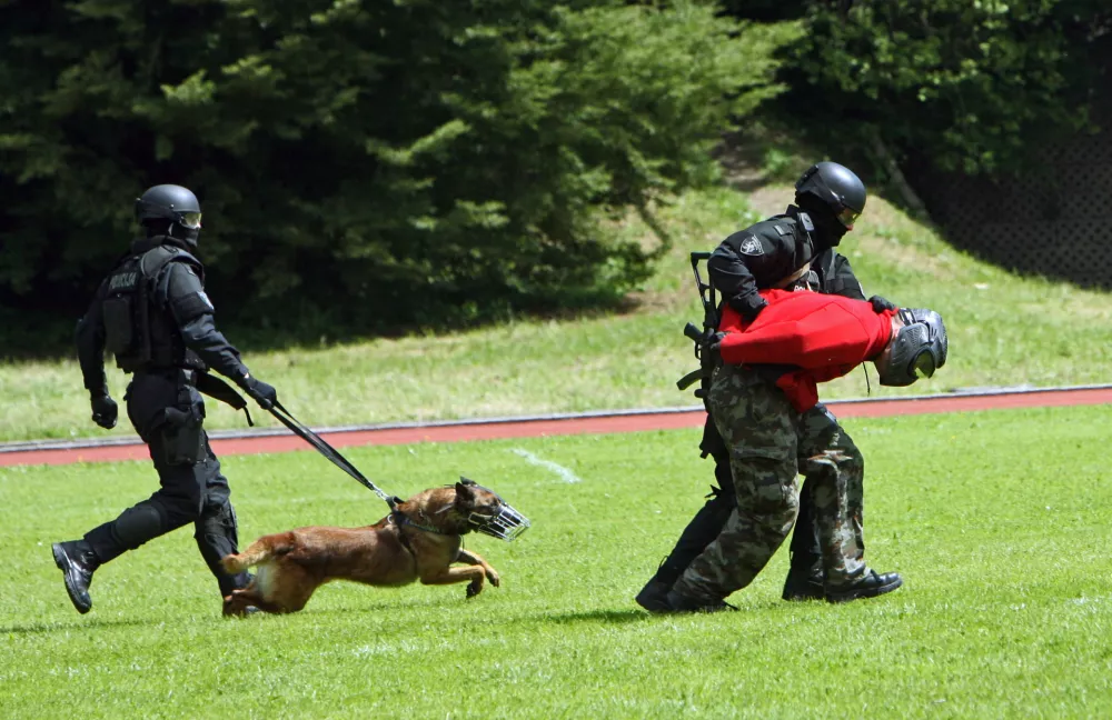 taktična vaja specialne policije - policijski službeni pes- 22.5.2013 - POLICIJA - Specialna enota policije praznovala 40 obletnico ustanovitve - //FOTO: Tomaž Skale