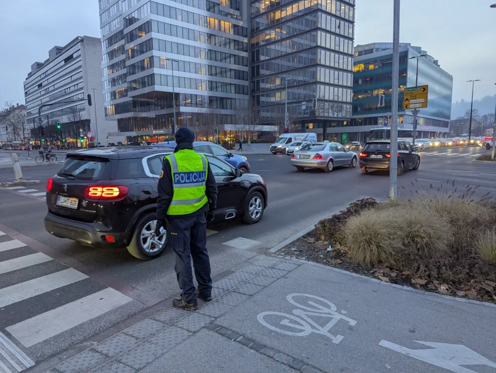 Policist ob robu križi&scaron;ča na Bavarskem dvoru, kjer pozorno spremlja, kdaj bo moral spet skočiti na sredino križi&scaron;ča. / Foto: Daf