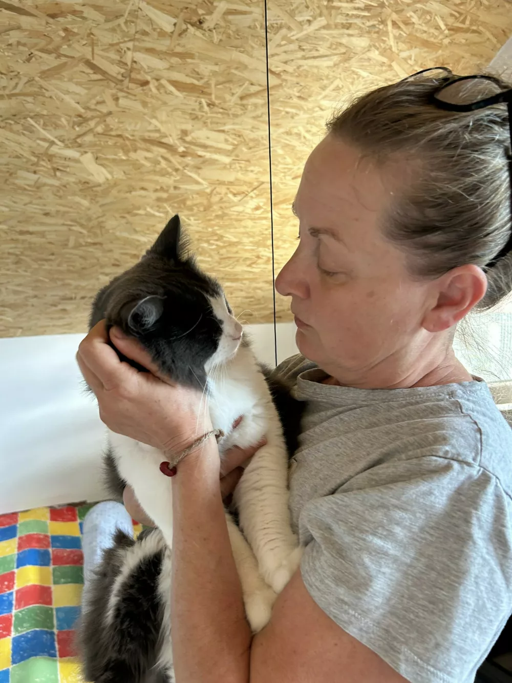 Živalski hoteli imajo rekordno zasedenost