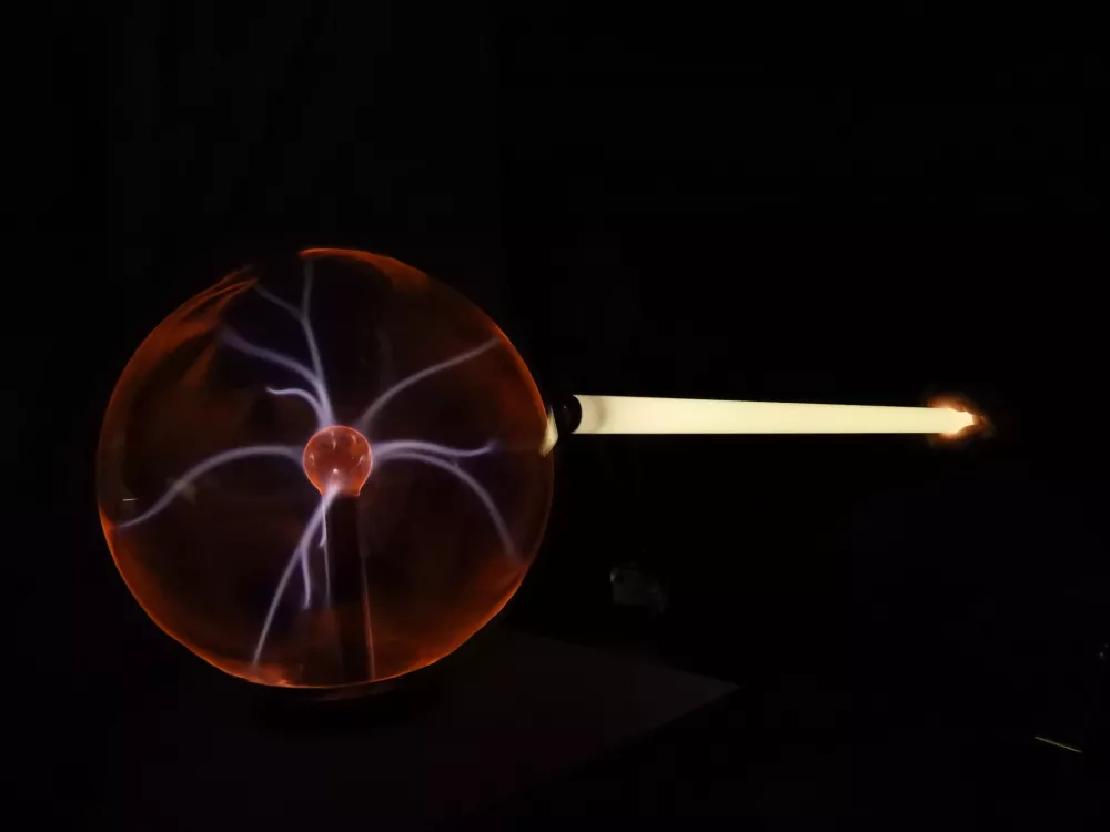 teslini poksusi, TMS / Foto: Katja Petrovec