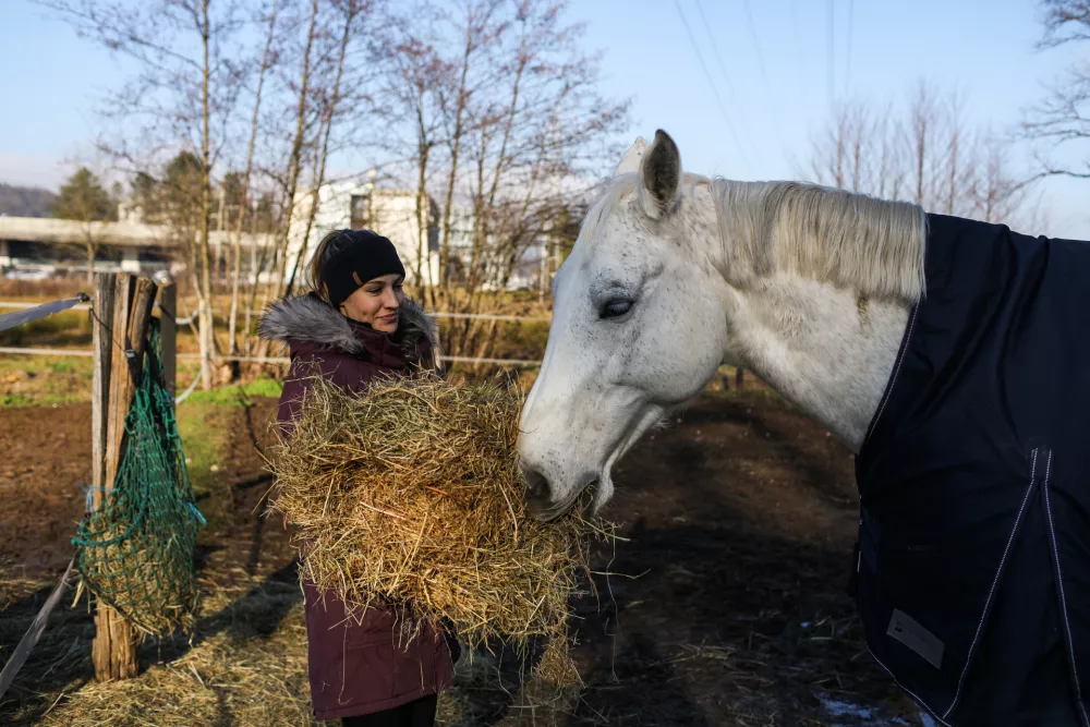 - 29.12.2025. - Reportaža Konjeni&scaron;ki klub Grič v Ljubljani.//FOTO: Bojan Velikonja / Foto: Bojan Velikonja