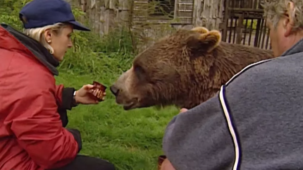 Foto: posnetek zaslona youtube