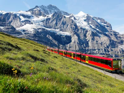 A tourist train travels on Jungfrau Railway from Jungfraujoch (Top of Europe) to Kleine Scheidegg & wild flowers bloom on a green grassy hillside under blue sunny sky in Bernese Oberland, Switzerland