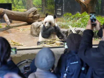 Foto: Reuters / Foto: Kotaro Numata
