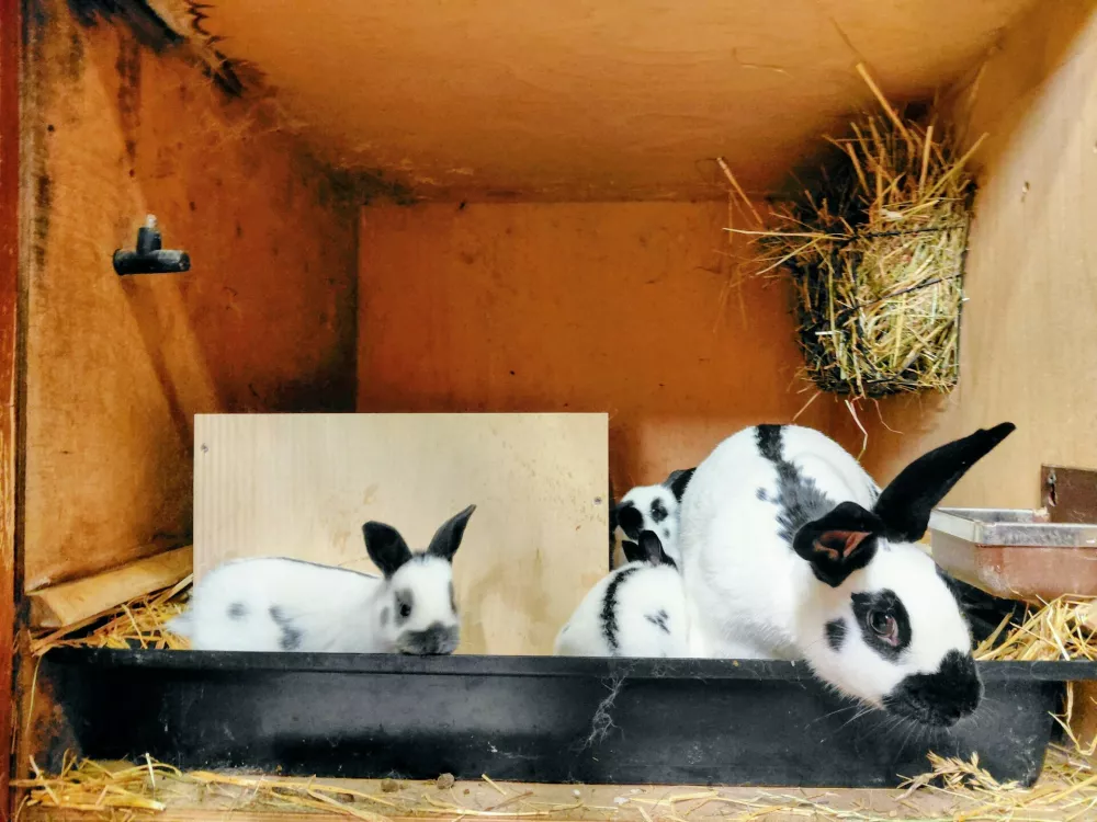 Najlep&scaron;a v Evropi prihajata iz Medvod!