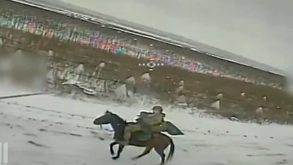 konji vojna v ukrajini